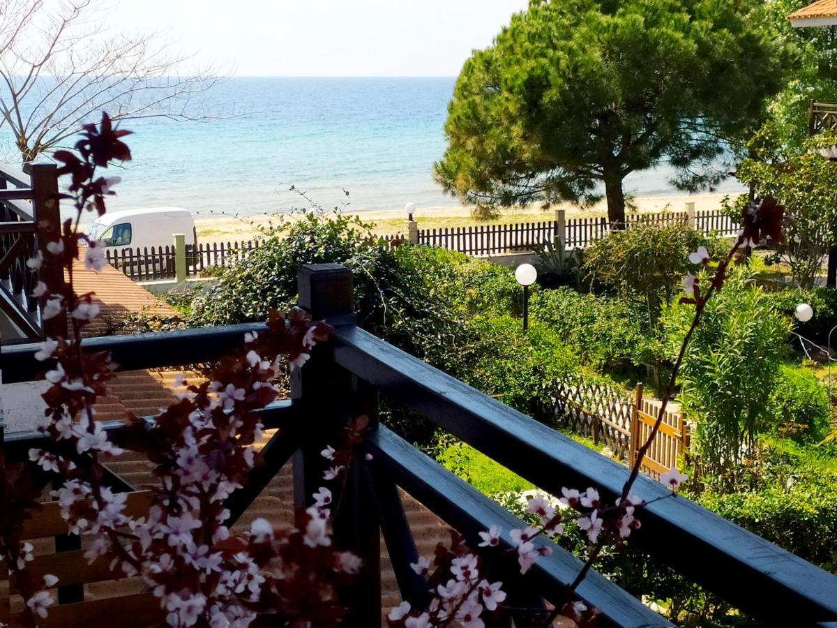 The Seaside Hébergement de vacances Nikiti (Sithonia)